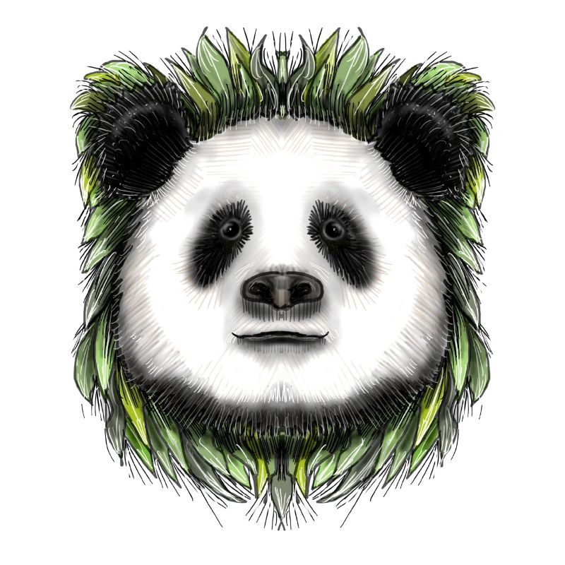 Ping Panda par Jon Ball