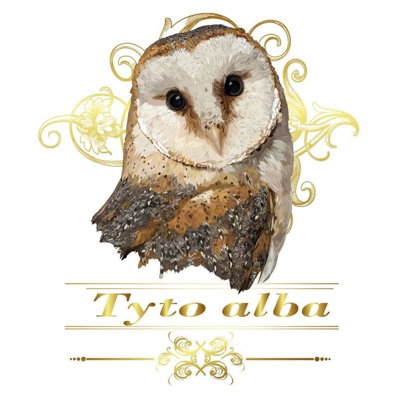 Bell owl