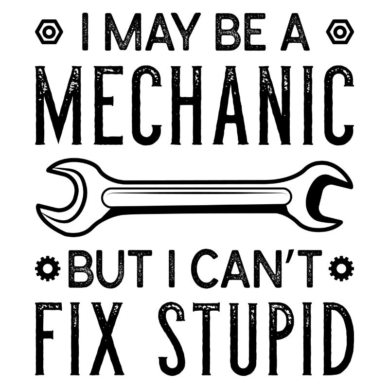 Mechanic Fix Stupid