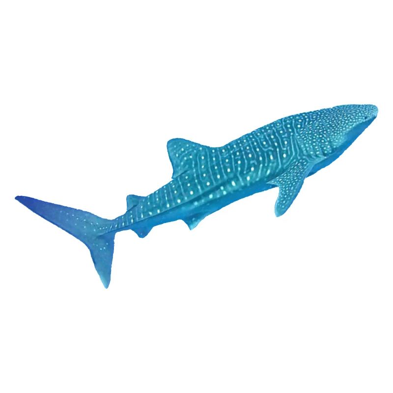 Requin-baleine