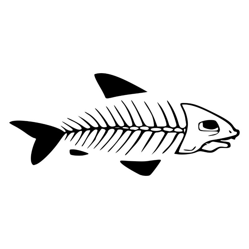 Fish skeleton white