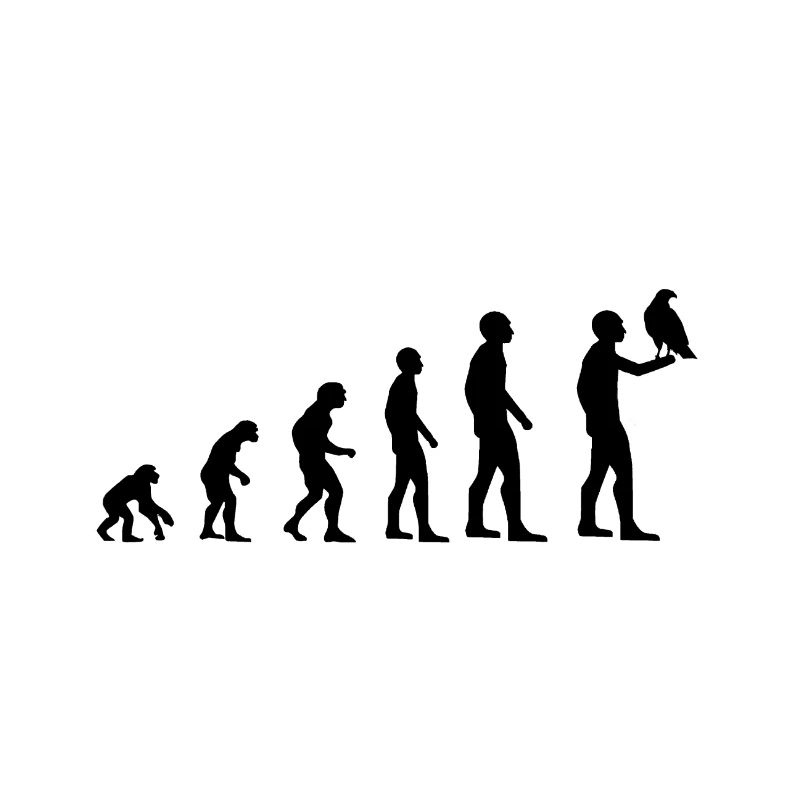 Fauconnier de l'évolution
