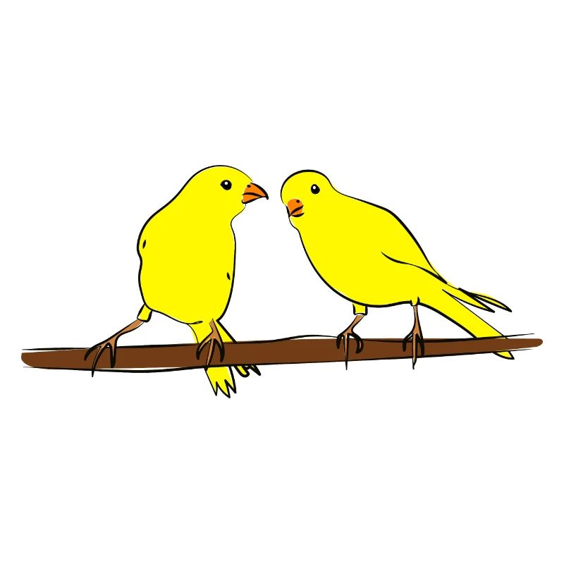 canaries