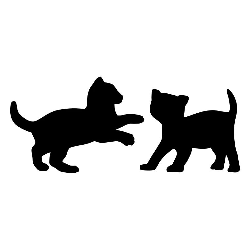Deux chatons jouant