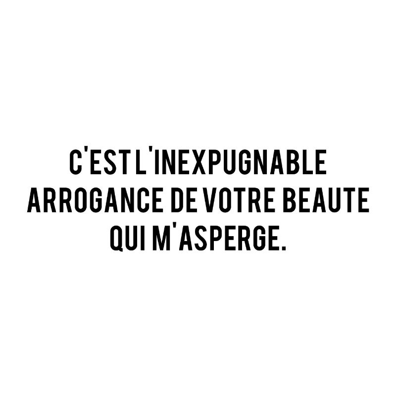 C'EST L'INEXPUGNABLE ARROGANCE BEAUTE QUI MASPERGE
