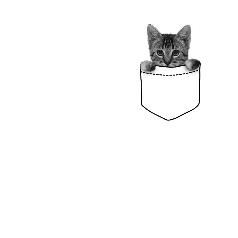 Chat dans ta poche