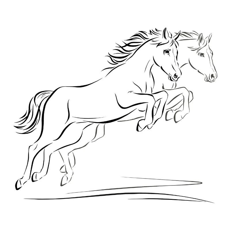 Two horses