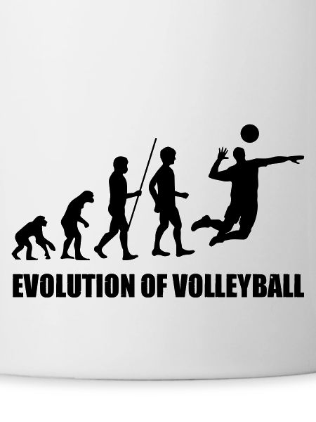 Evolution of Volleyball