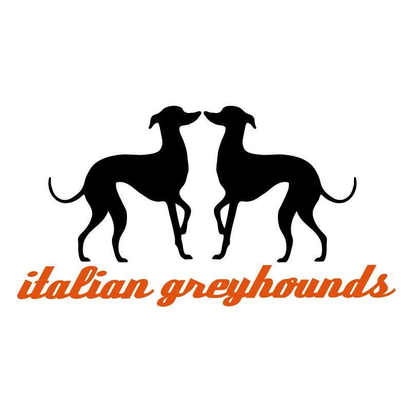 Petit lévrier italien (PLI)