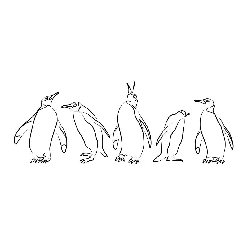 groupies de pingouins