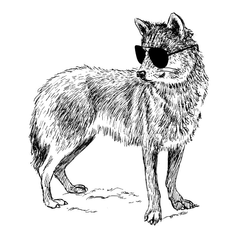 Cool wolf with sunglasses
