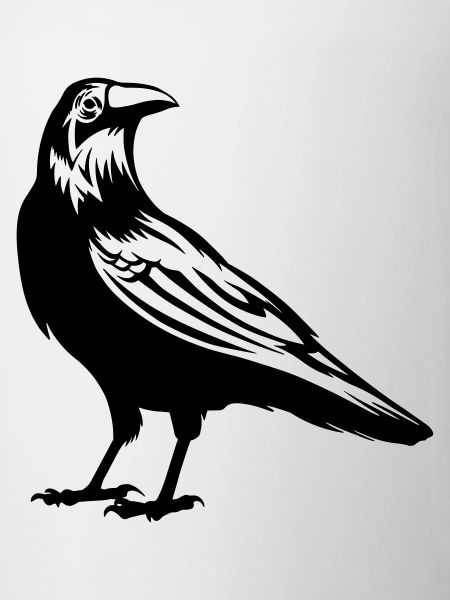 Raven - crow