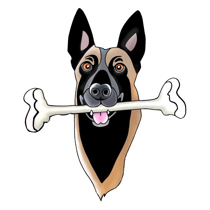 tête de malinois avec os