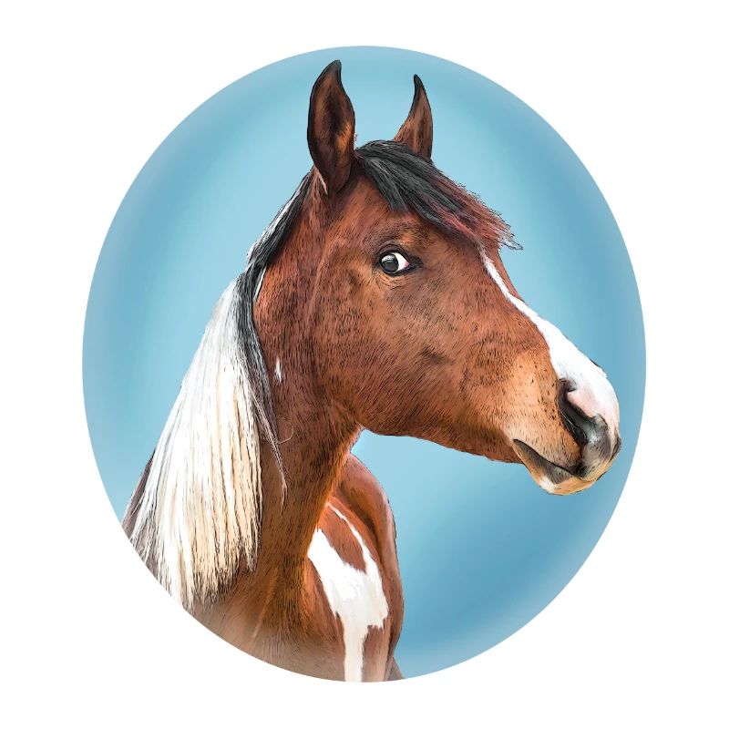 portrait cheval pintabian