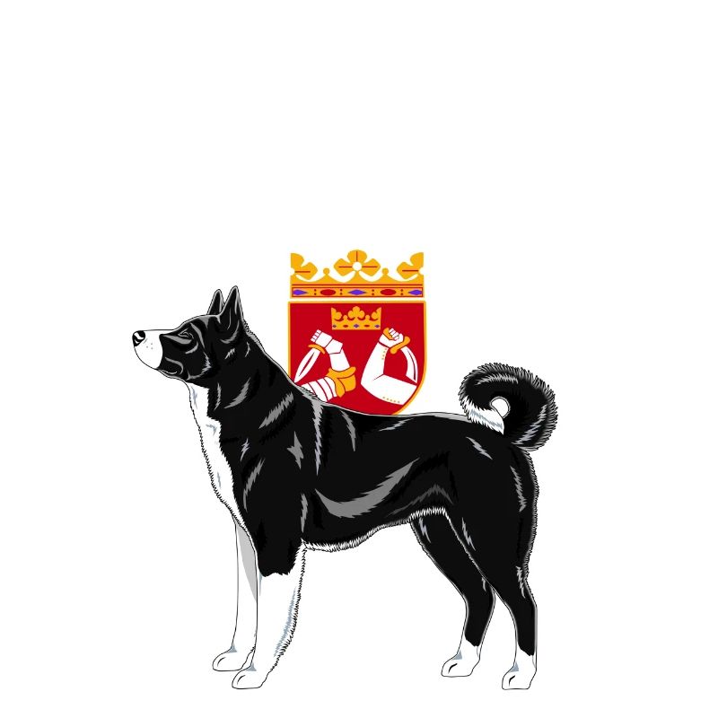 Bear Dog Finland 2