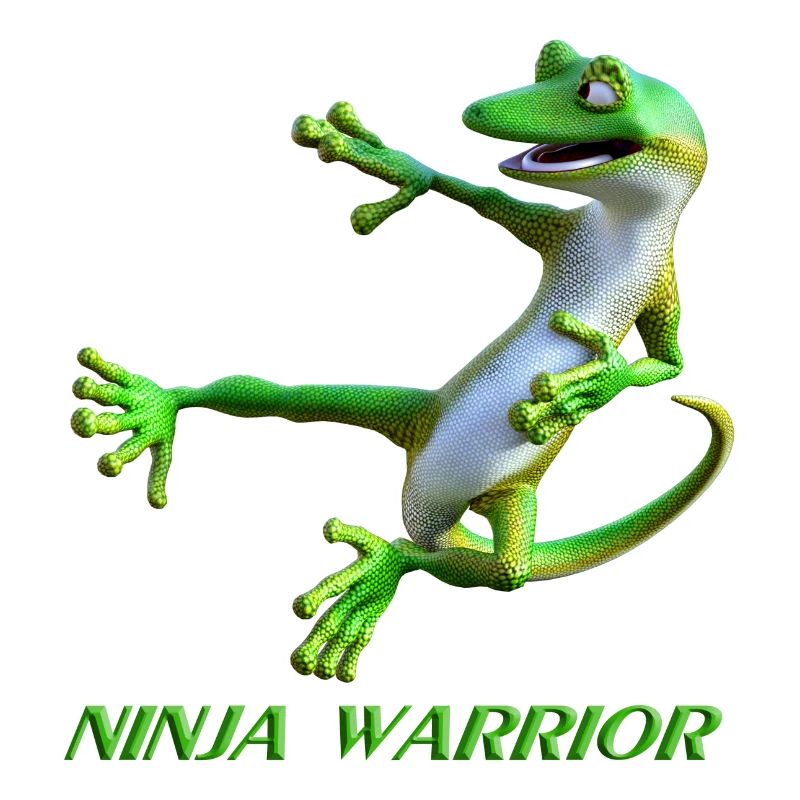 Ninja Warrior