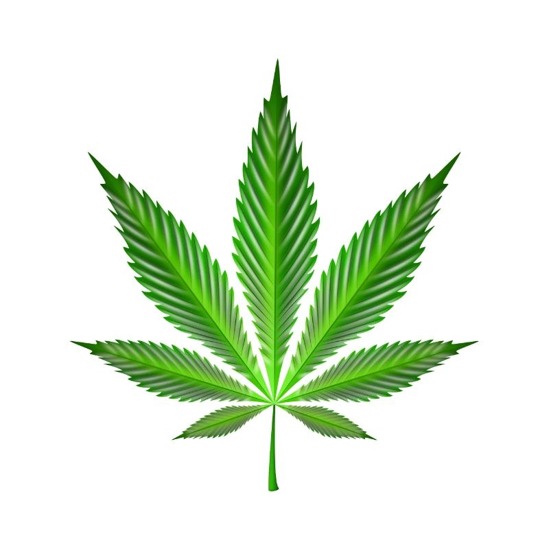 Cannabis leaf