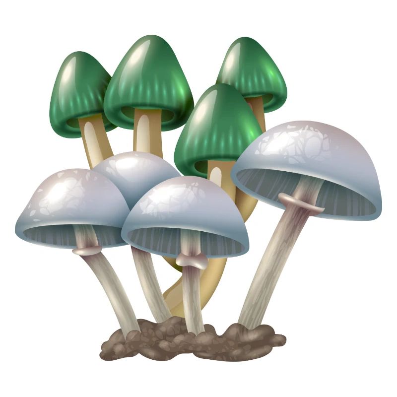 champignons purée de champignons