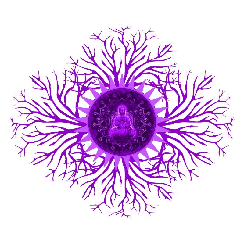 Crown Chakra Chakra