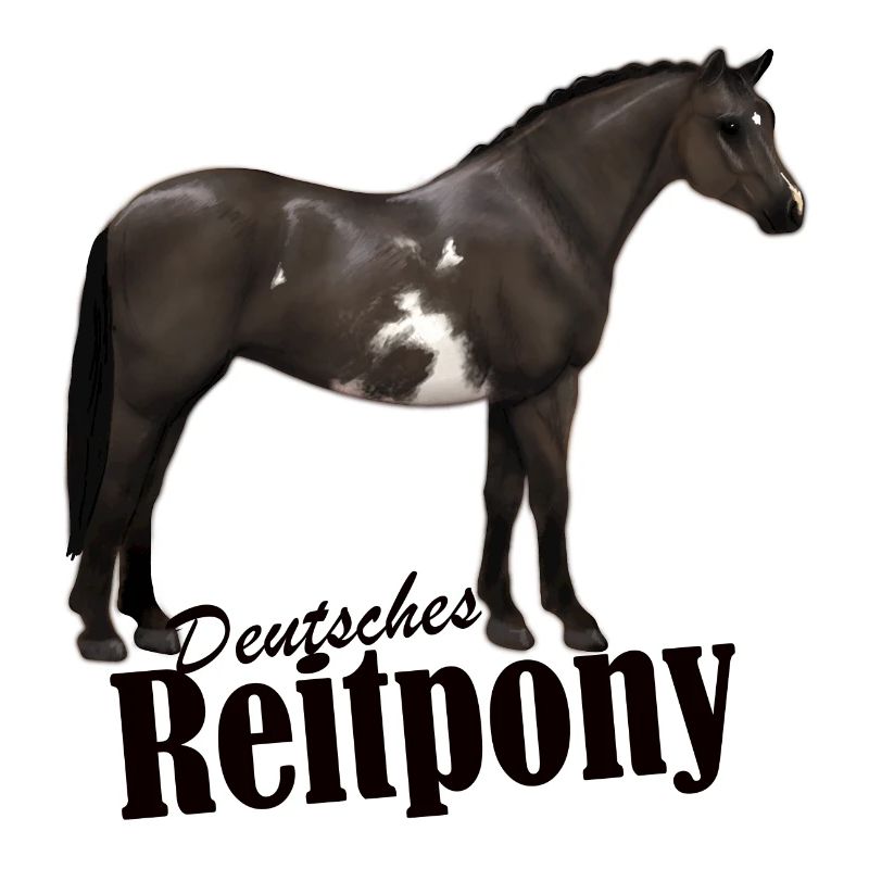 Deutsches Reitpony Rappschecke