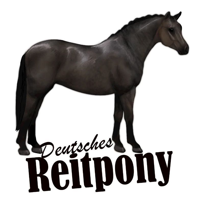 Deutsches Reitpony Rappe