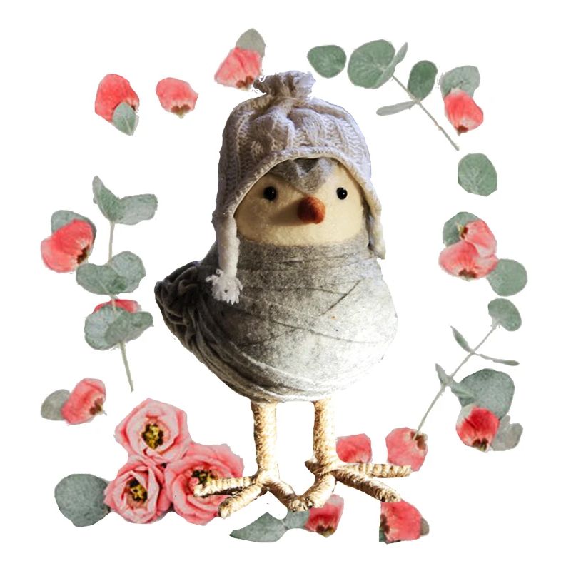piepmatz