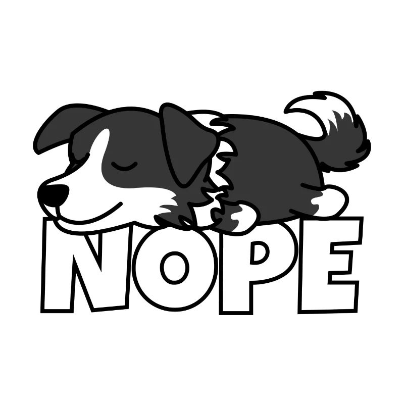 Border Collie Nope