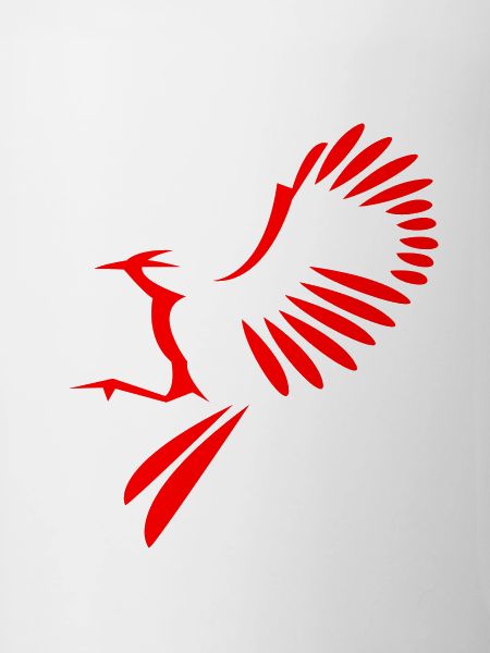 Bird illustration