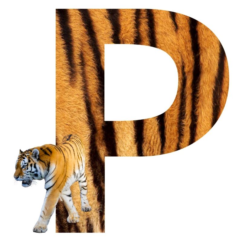 tiger p