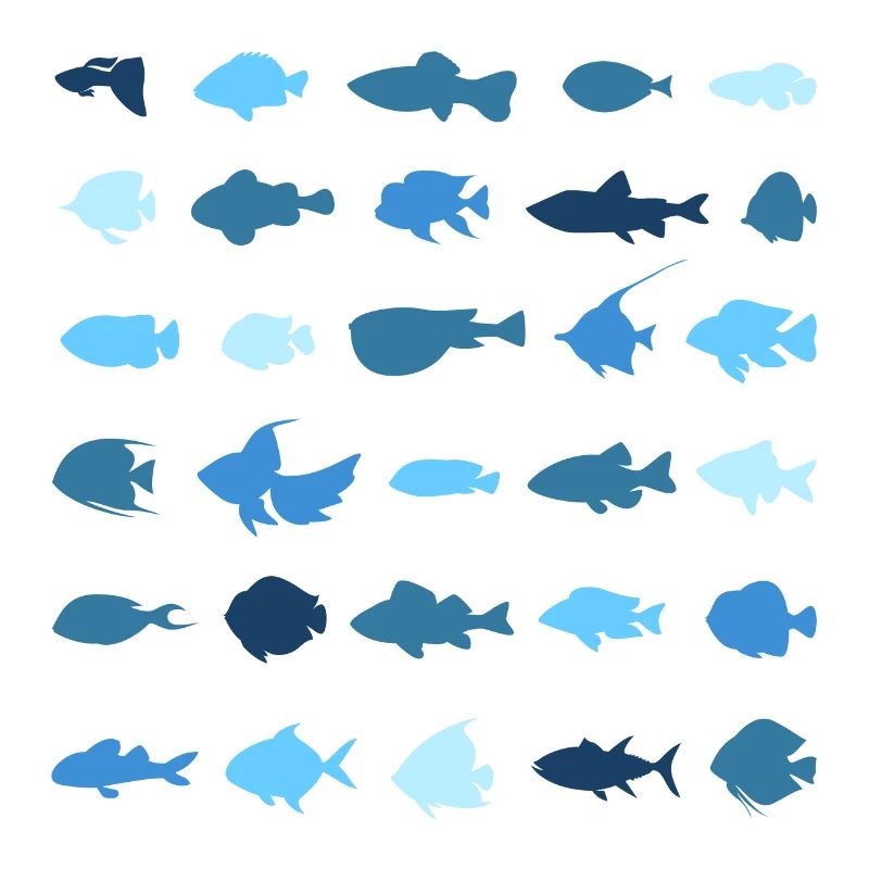 Small fish