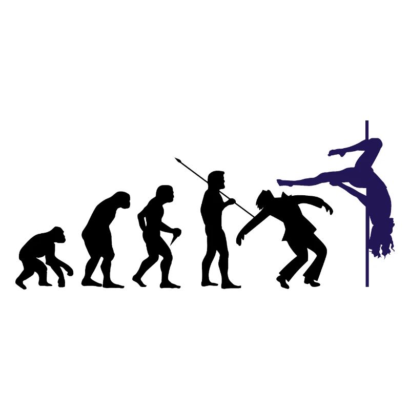 Pole Dance Stunning Evolution Dance Pole Fitness