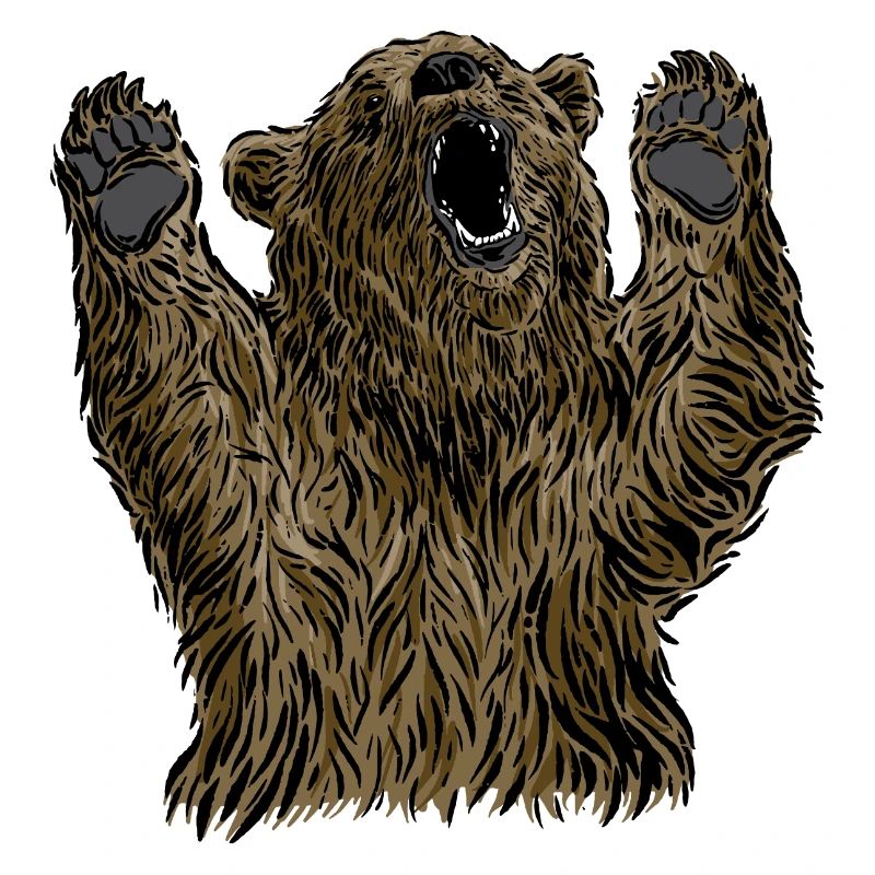 Braunbär Kopf Bär Motiv für Braunbären Team oder