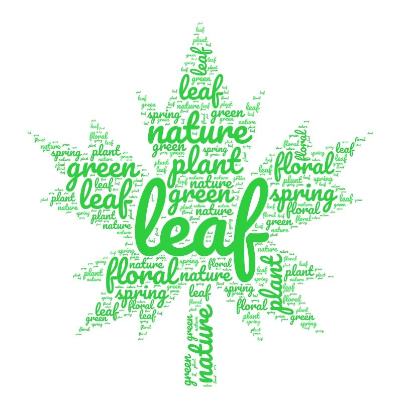 green leaf