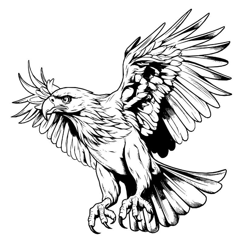 Oiseau de proie