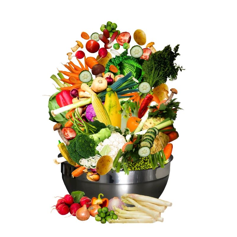 VEGAN COLLECTION