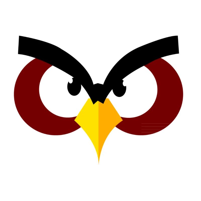 This bird is Angry !