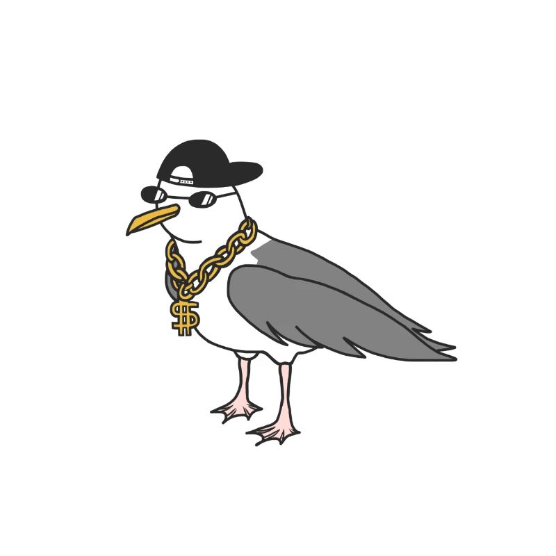 Rapper seagull