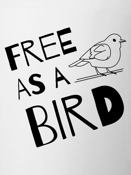 Libre comme un oiseau