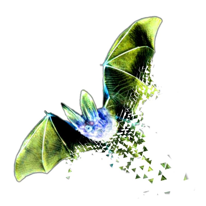 bat