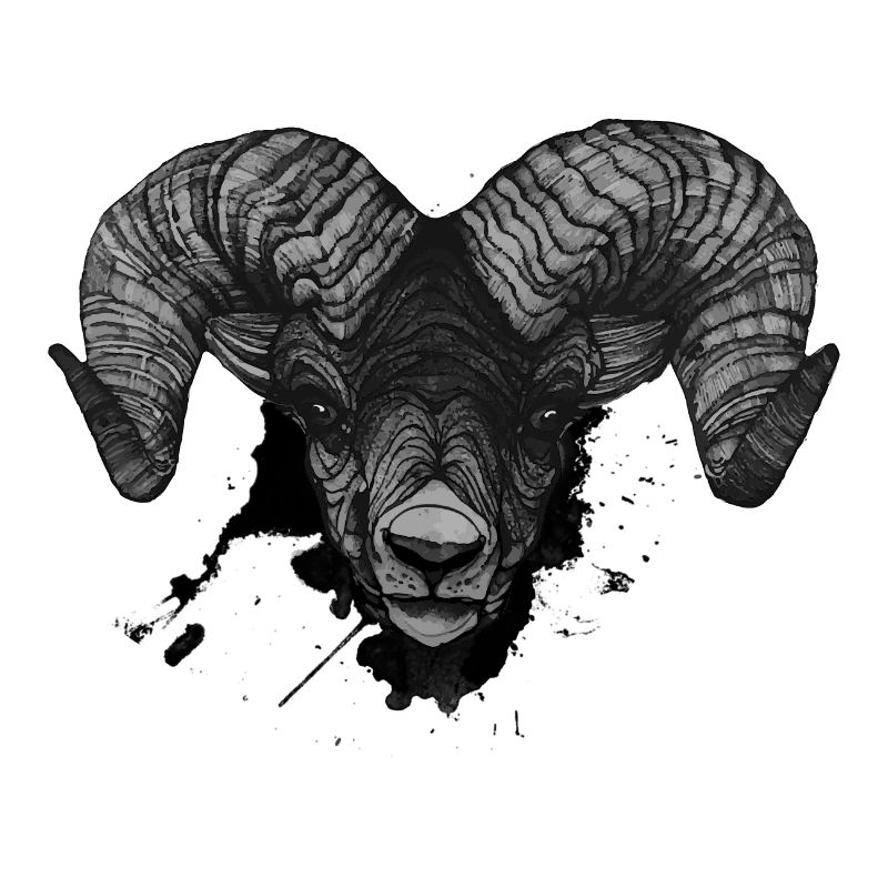 Widder Steinbock Kopf Art Dickkopf