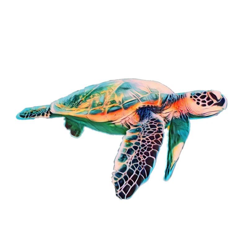 Tortue de mer