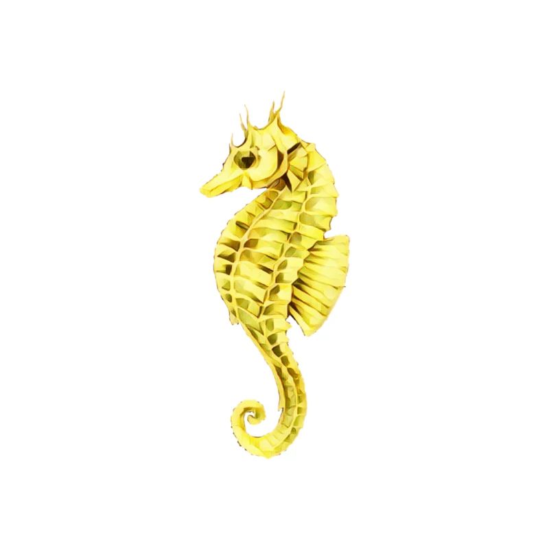 Hippocampe