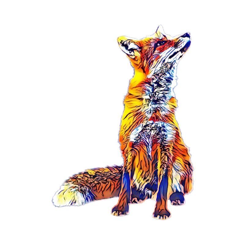 Renard