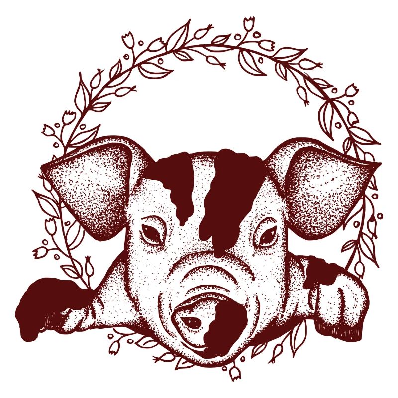 pig