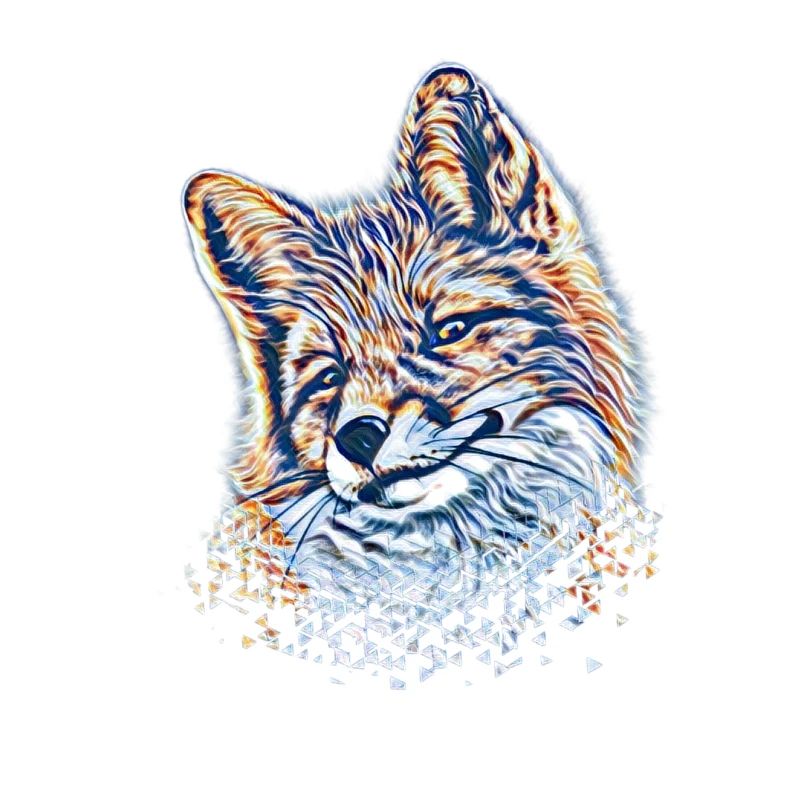 Renard