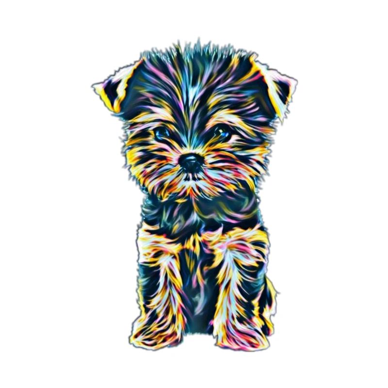 Yorkshire Terrier