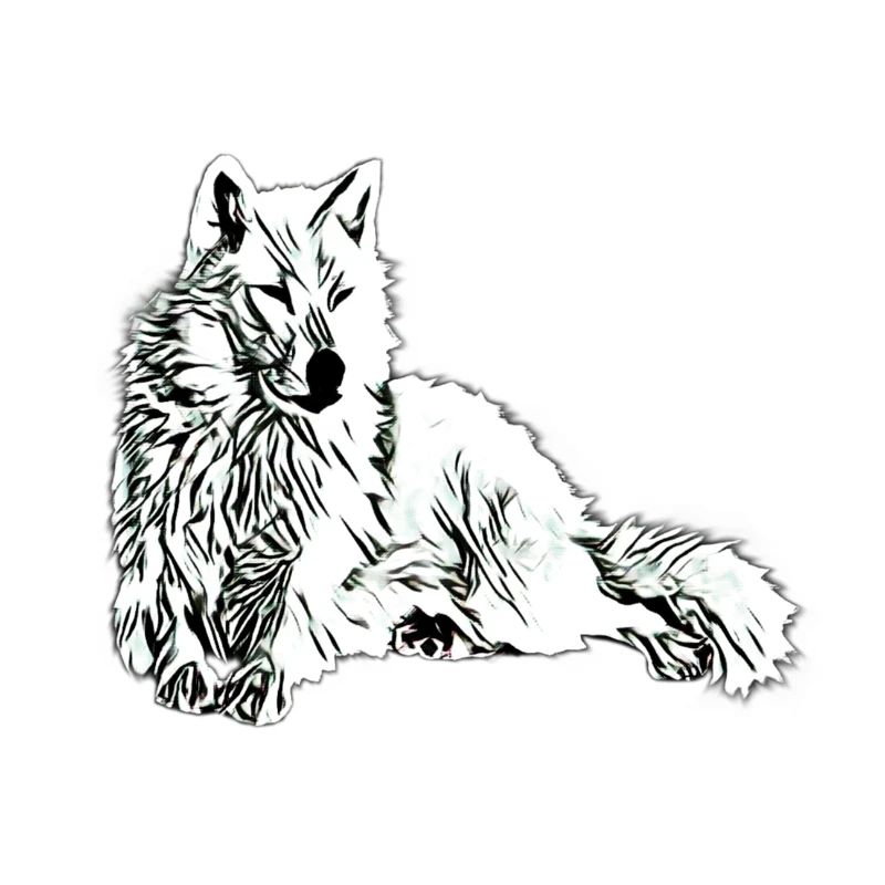wolf