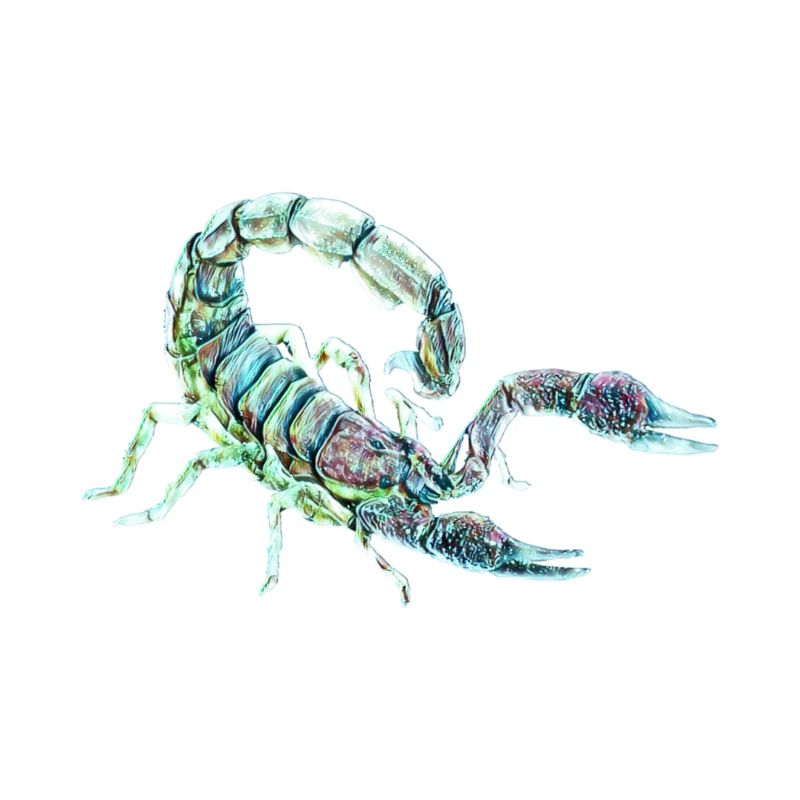 Scorpio