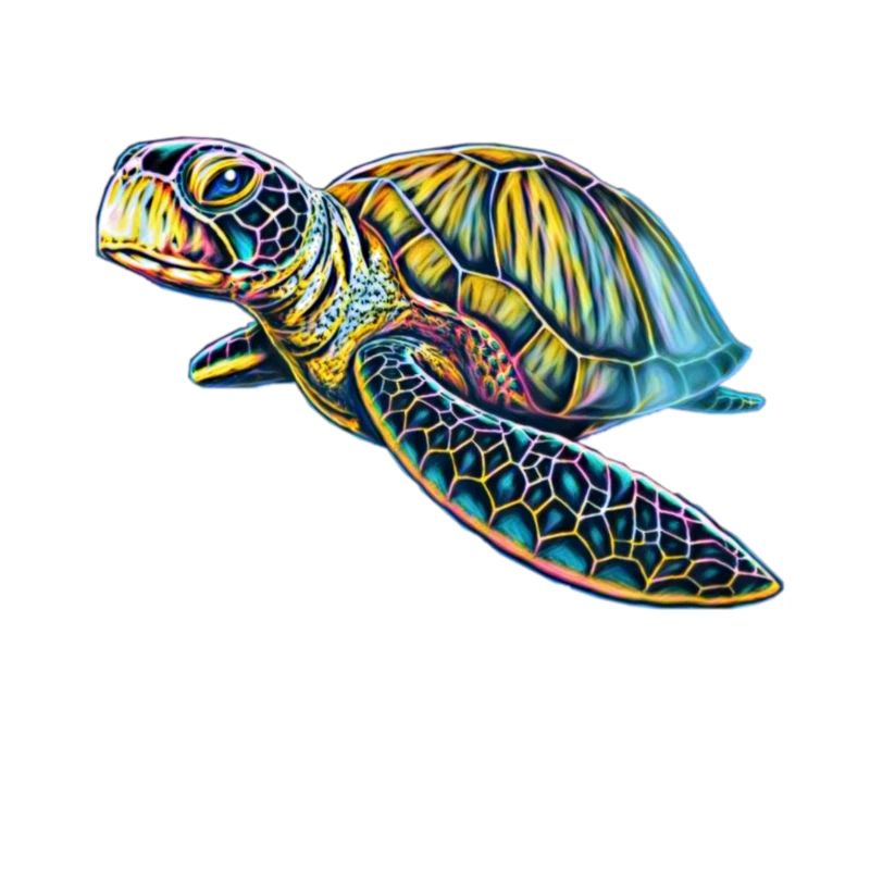 Tortue de mer