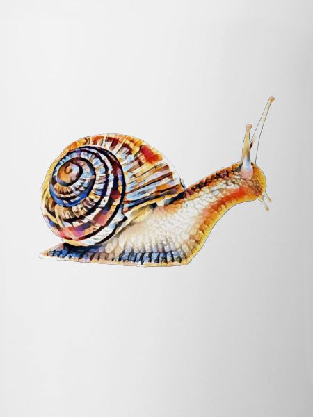 slug